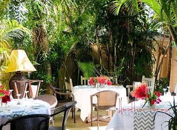 Cafe Matisse in Bahamas