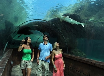 Marine Habitat Atlantis in Bahamas